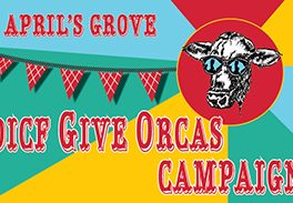 OICF special GiveOrcas campaign