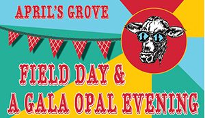 OPAL field day and gala