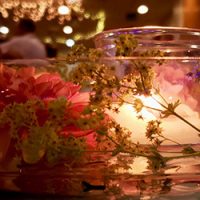 a gala opal evening
